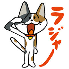 お茶目な三毛ニャンコ