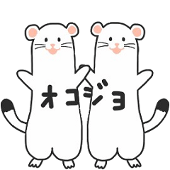 真っ白オコジョ