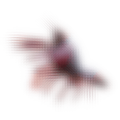 ぼかしは美しさ9