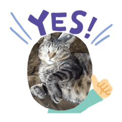 ニャンゴロースタンプ4