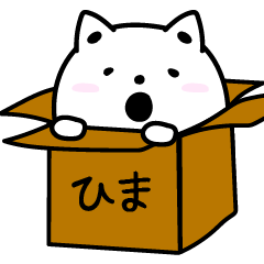 いつでもにゃんこふざけたいじゃん