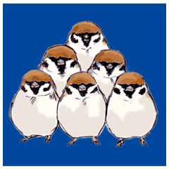 マイペースな小鳥 2