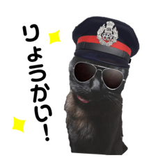 クロネコのルークくん