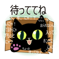 黒猫ちゃんしゃべりすぎ。