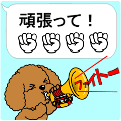 動く！トイプードルの吹き出しスタンプ