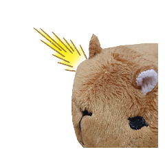 カピバラさんのほのぼの日記