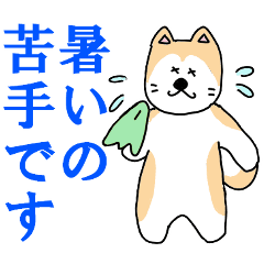 秋田犬の丁寧な日常あいさつ