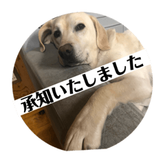 おからすたぐらむ