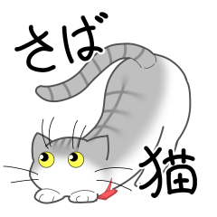 キュートな鯖猫