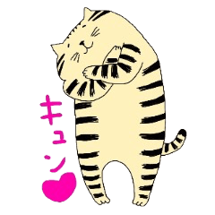 トラ猫ちゃん