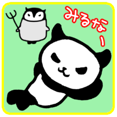 見られたくないパンダの半太