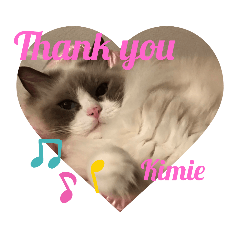 べっぴん猫さん