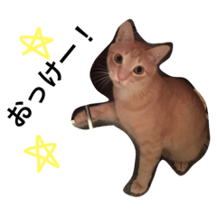 みりんさんの日々〜