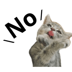 猫のココちゃんスタンプ02