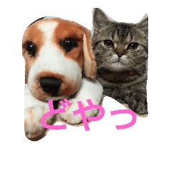 フクのスタンプ