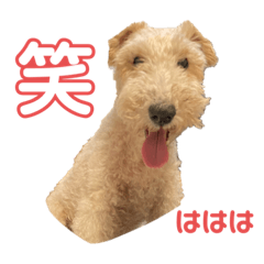 らんちゃんとだのくん