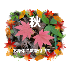 11月、12月限定スタンプ