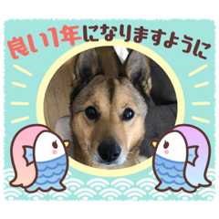 まめすけくんスタンプ2