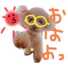 つぶやきコロさん