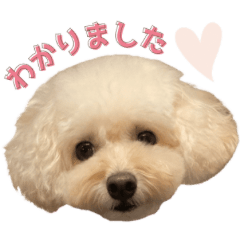 ディアちゃんスタンプ