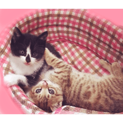 エルくんとウラちゃん