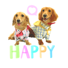 わんこのスタンプなの1