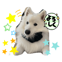 スピッツのましゅ〜