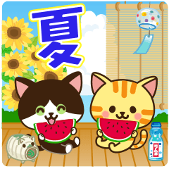 夏♡ねこまみれの日常スタンプ