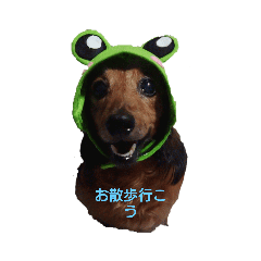 ダックス♪ダックス♪
