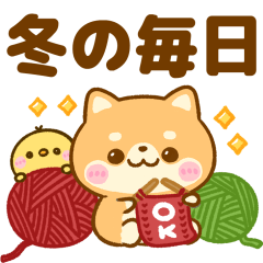 豆柴日和♡冬の毎日