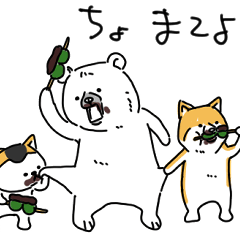 ポケファス 万能