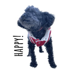 Bob's everyday life.