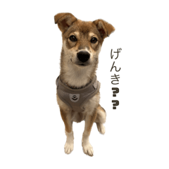 使えるむぎことば①