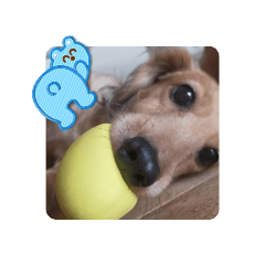 やましたチョコ