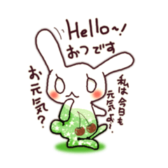 ソーダーラビットの日常