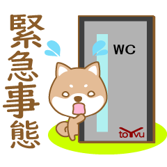 わんこ日和(柴犬)①-toYvu-