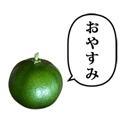 シークワーサー　ふきだし