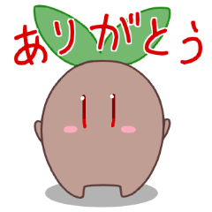 マンドラゴラくん