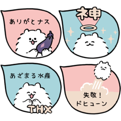 インターネット大好きポメラニアン