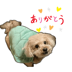 レックスのスタンプです。