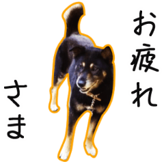 クマゴローさん