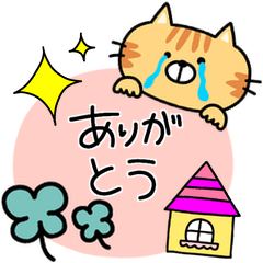 茶トラ猫とアレンジ♥