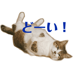 球磨弁まっだしねこスタンプ