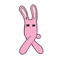 2足歩行うさぎさん