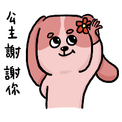 Wearing glove's dog 2