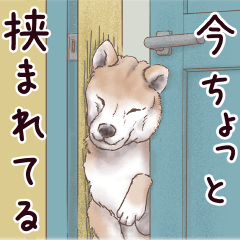 わんこなやつら７