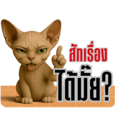 From the heart of Sphynx Cat