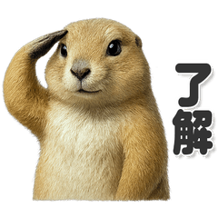 毎日使える！かわいいプレーリードッグ