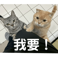 Yin Hsuan He_20251025224705