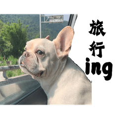 Big Bao and little Bao